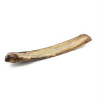 Beef Bone