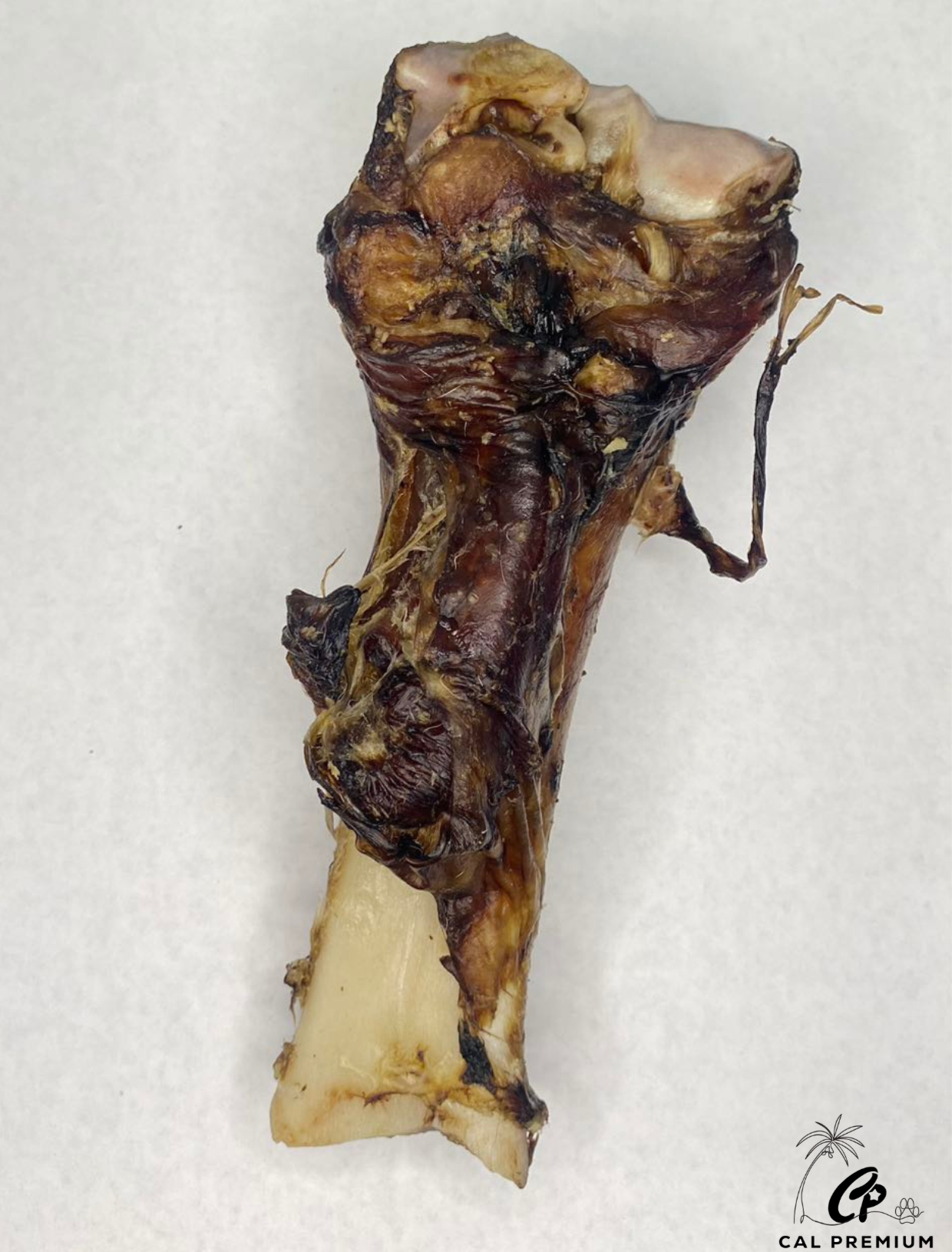 Beef Fore Shank Bone (1pc)